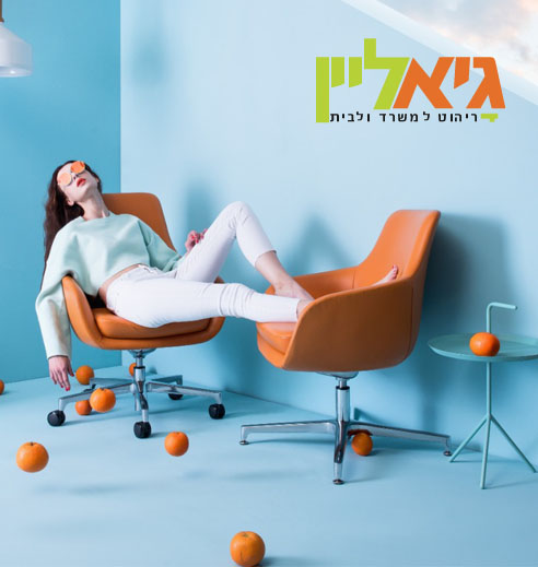 גיא ליין, ריהוט משרדי בחיפה והקריות